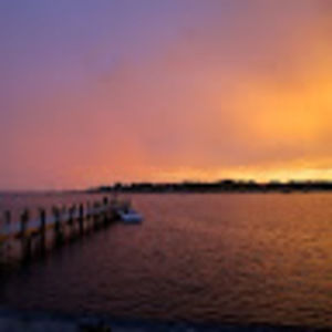 Meet your Posher, Janice